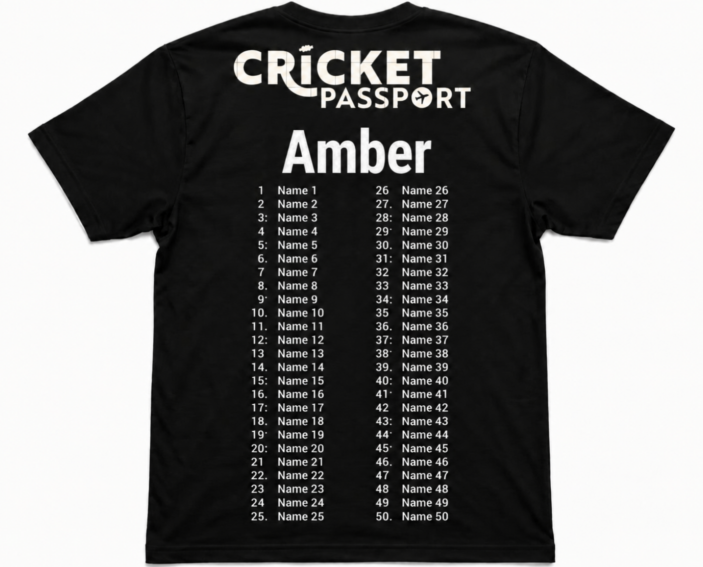 Amber's Back the Journey tour t-shirt